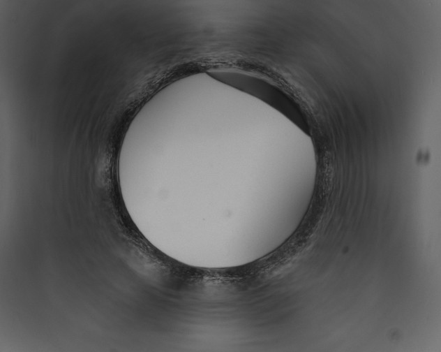 X0000089420641200707131823
