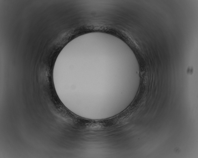 X0000089420643200707131823