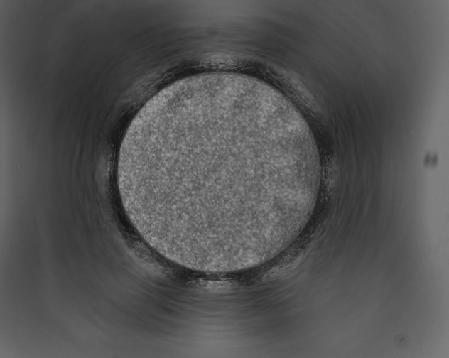 X0000089420645200707131823