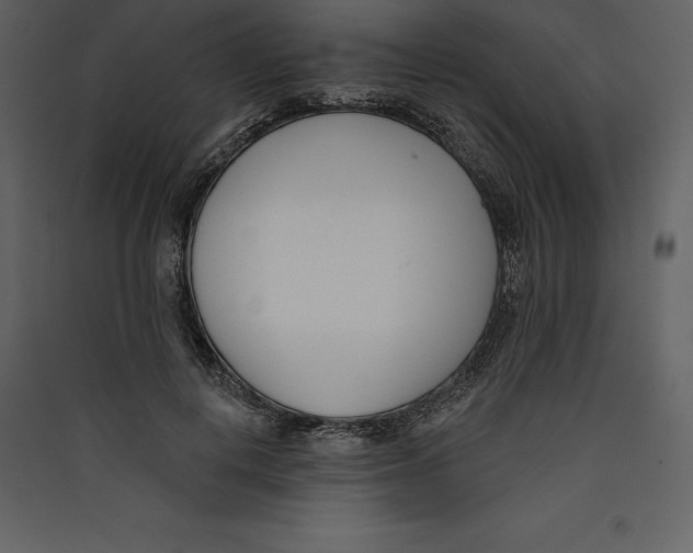 X0000089420648200707131823