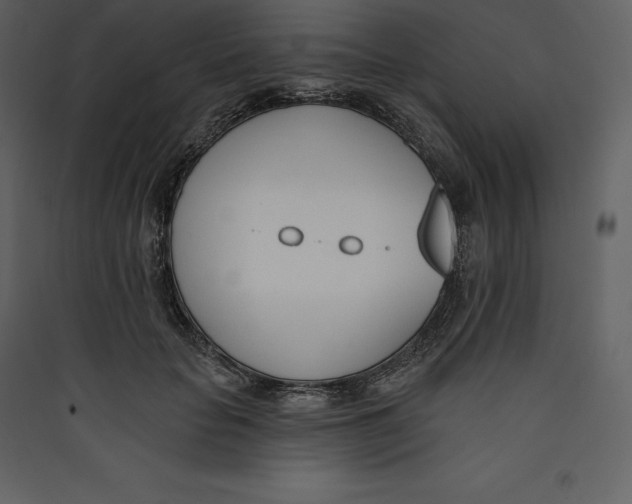 X0000089420653200707131823