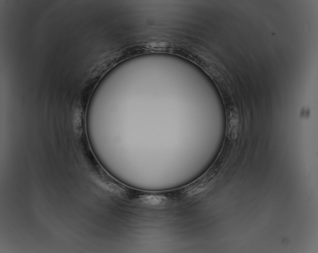 X0000089420654200707131823