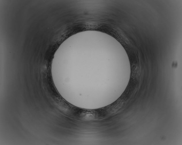 X0000089420655200707131823