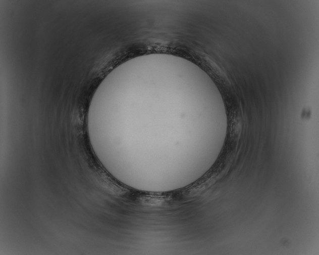 X0000089420661200707131823