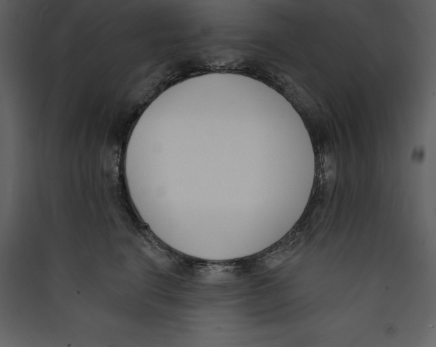 X0000089420664200707131824