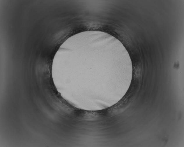 X0000089420666200707131824