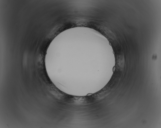 X0000089420667200707131824