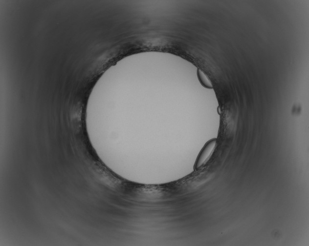X0000089420668200707131824
