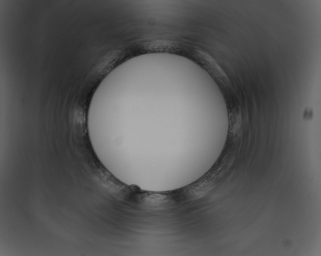 X0000089420669200707131824