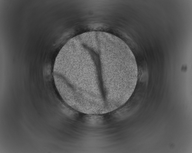X0000089420670200707131824