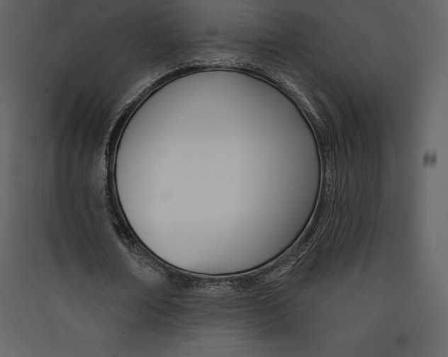 X0000089420674200707131823