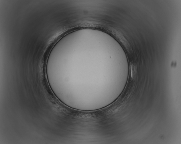 X0000089420675200707131823