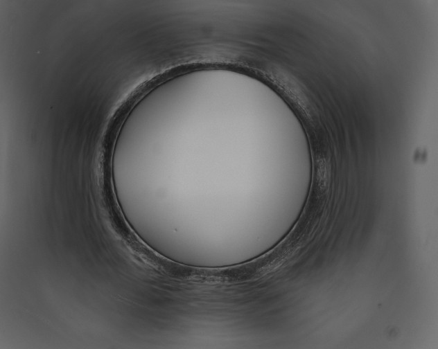 X0000089420676200707131823