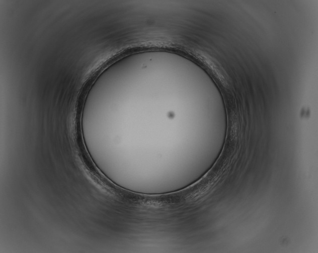 X0000089420677200707131823