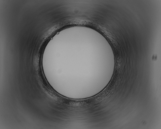 X0000089420679200707131823