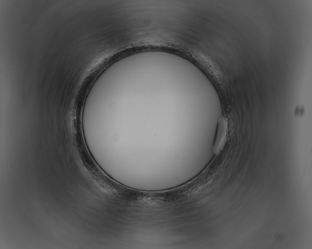 X0000089420680200707131823