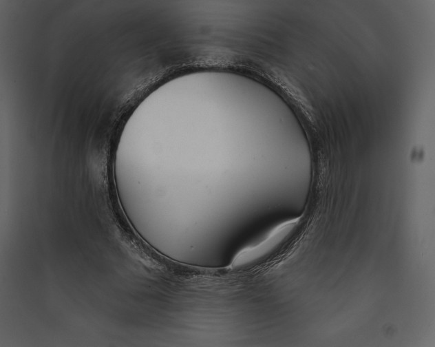 X0000089420681200707131823