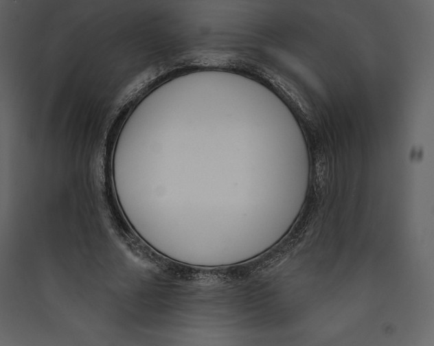X0000089420682200707131823