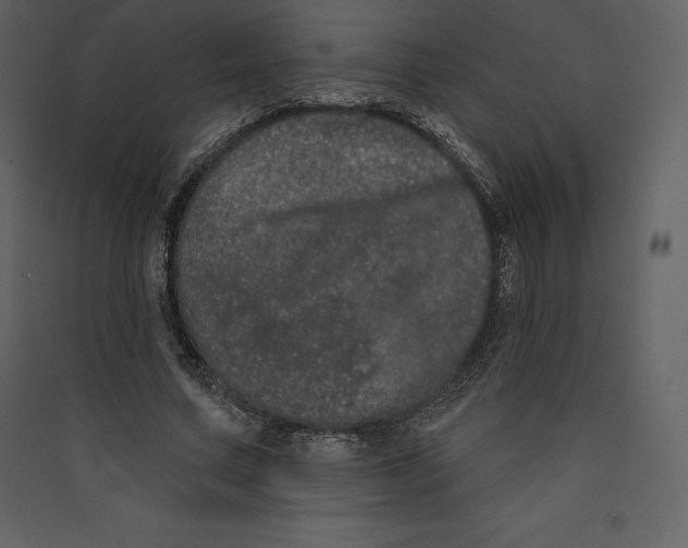 X0000089420683200707131823