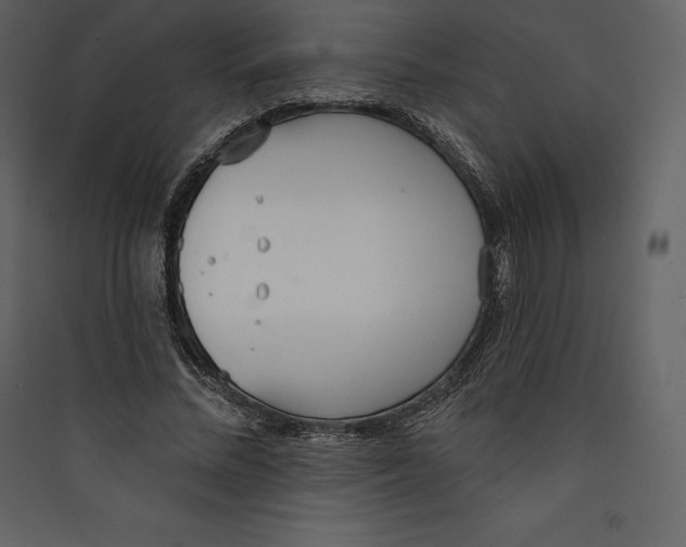 X0000089420684200707131823