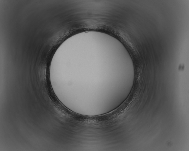 X0000089420685200707131823