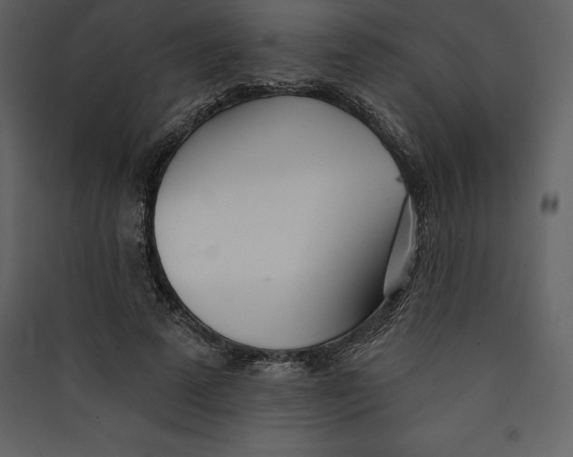 X0000089420689200707131823