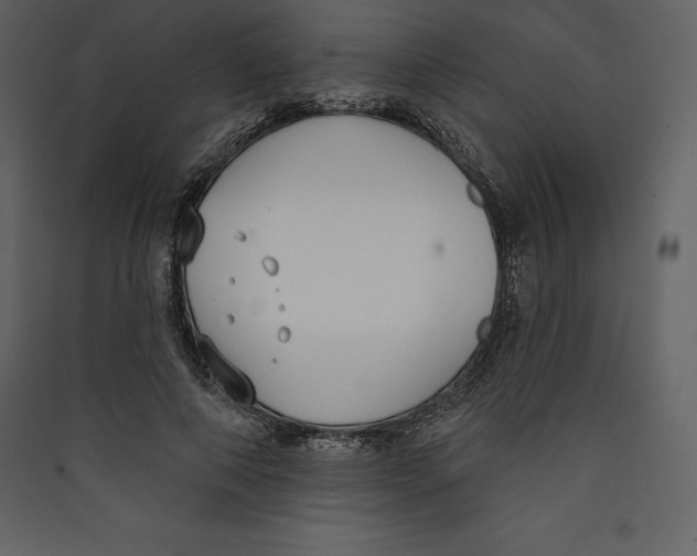 X0000089420690200707131823