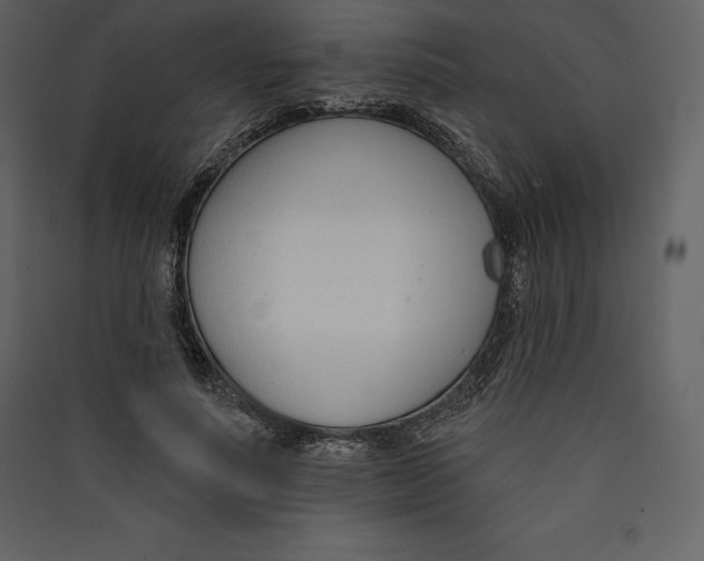 X0000089420691200707131823
