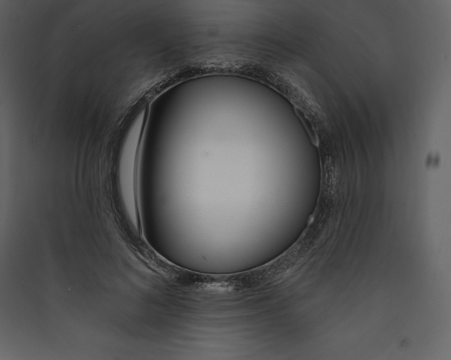 X0000089420692200707131823
