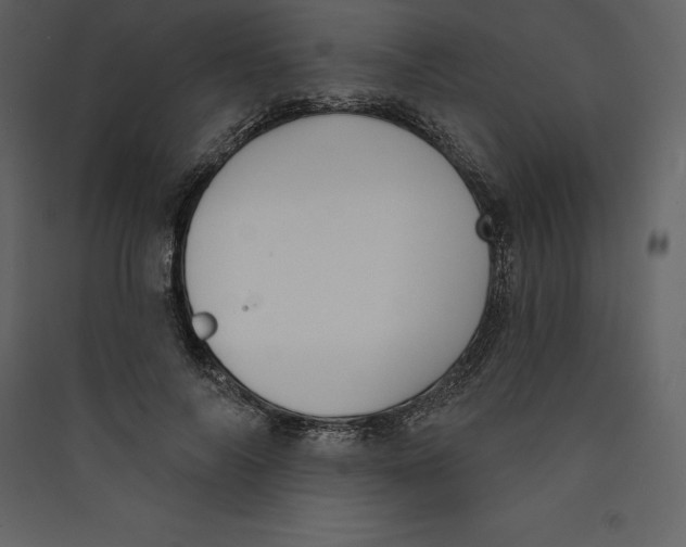 X0000089420694200707131823