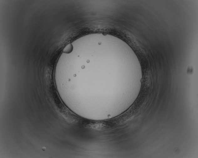 X0000089420695200707131823
