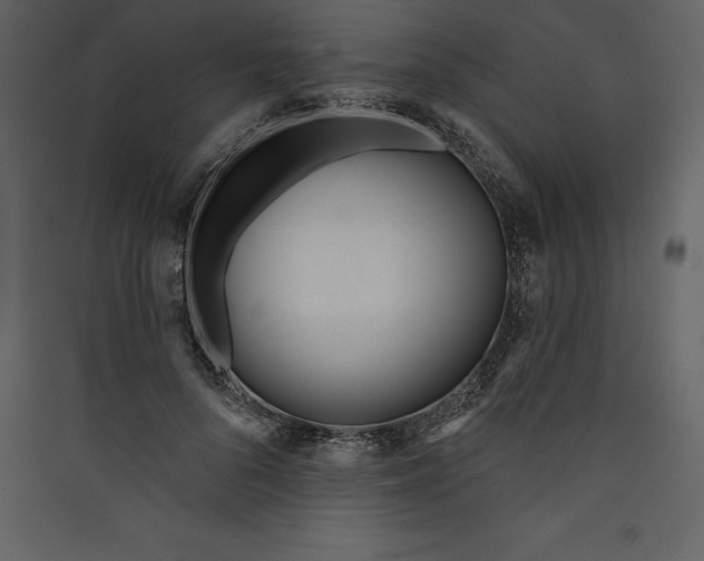 X0000089420696200707131823
