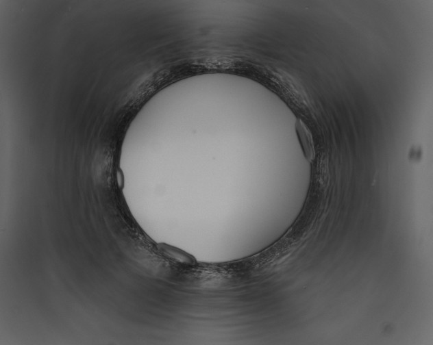 X0000089420697200707131823