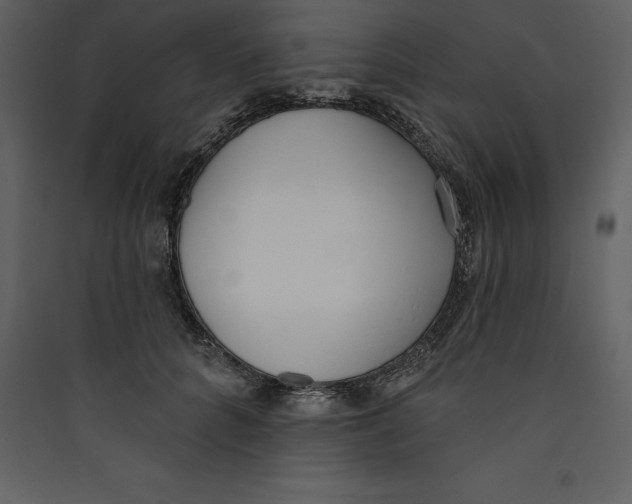 X0000089420704200707131822