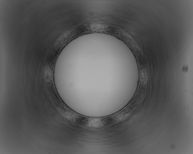 X0000089420705200707131822
