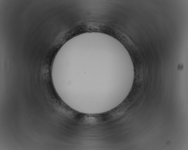 X0000089420706200707131822