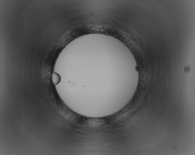 X0000089420707200707131822