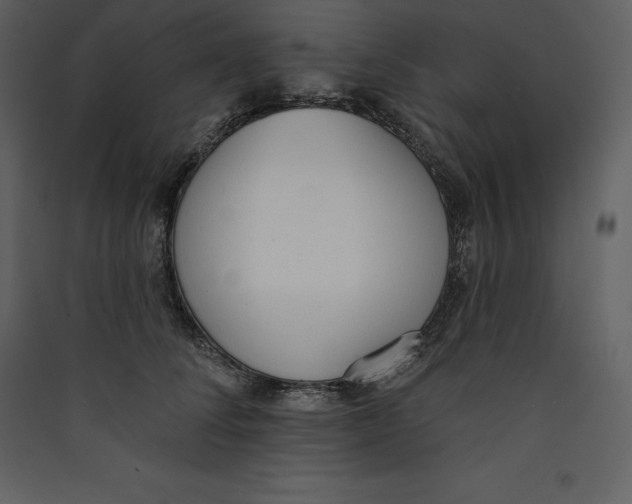 X0000089420708200707131822