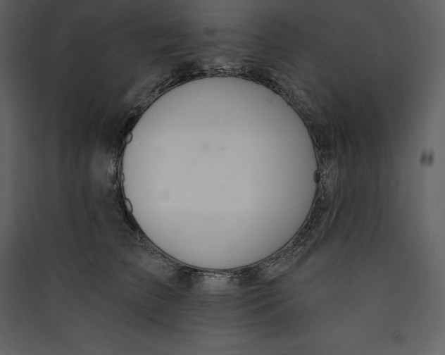 X0000089420709200707131822
