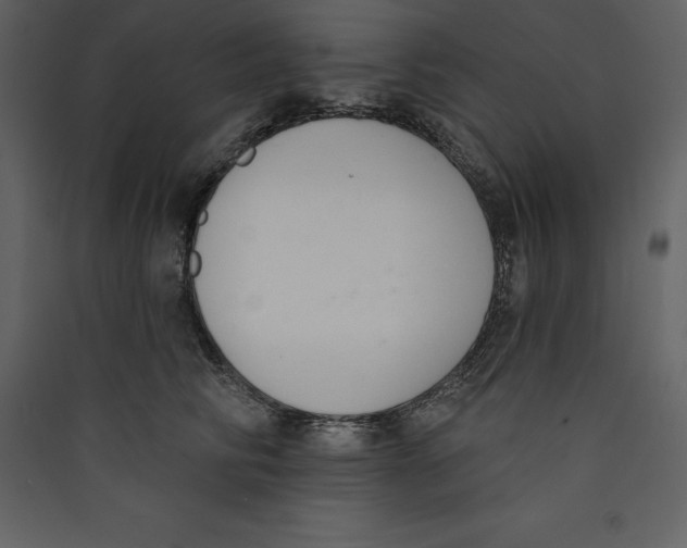 X0000089420710200707131822