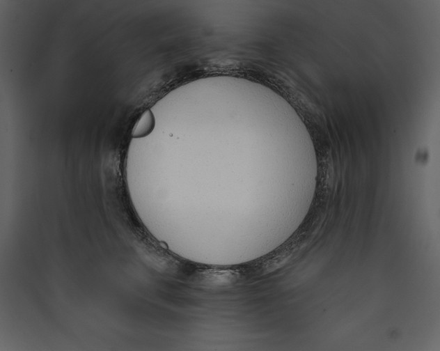 X0000089420711200707131822