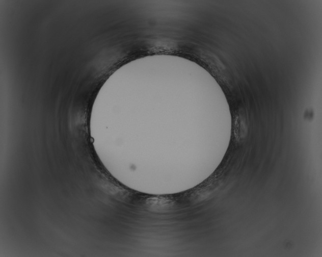 X0000089420714200707131822