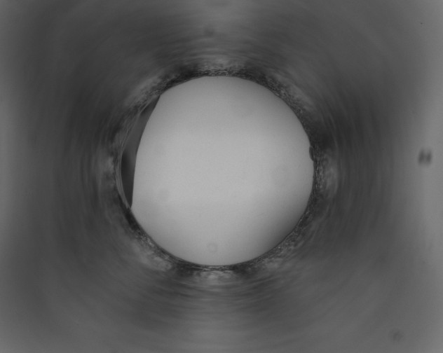 X0000089420716200707131822
