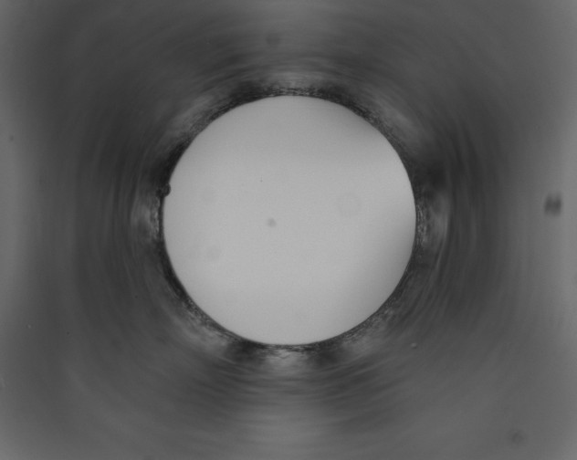 X0000089420718200707131822