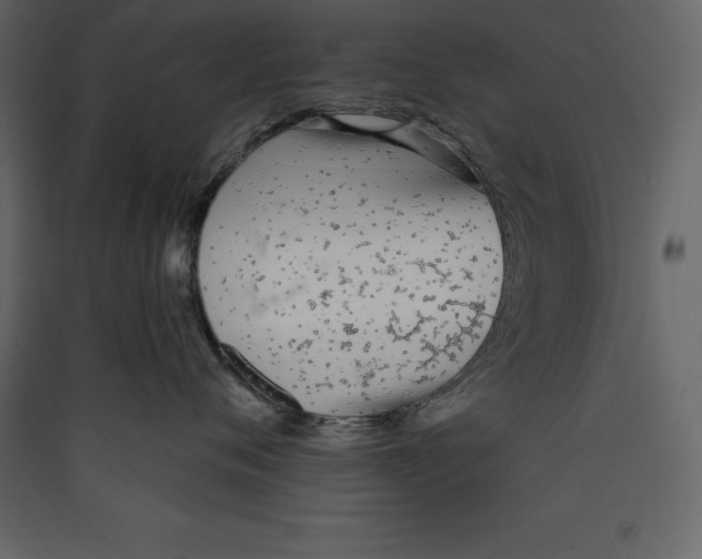 X0000089420720200707131822