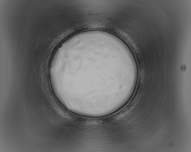 X0000089420721200707131821