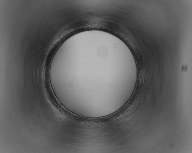 X0000089420722200707131821