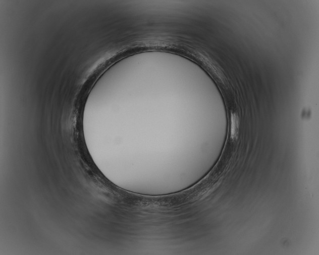 X0000089420723200707131822
