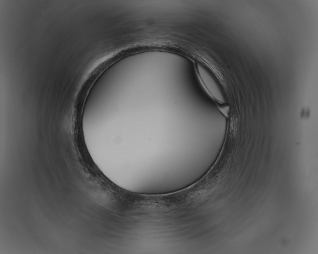X0000089420724200707131822