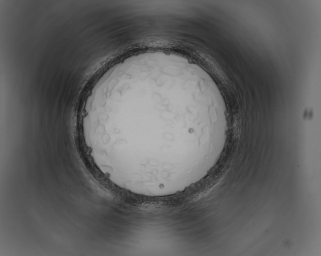 X0000089420725200707131822